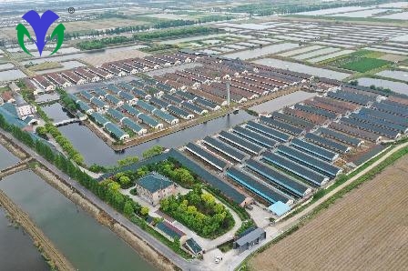 青島市某養殖場(chǎng)