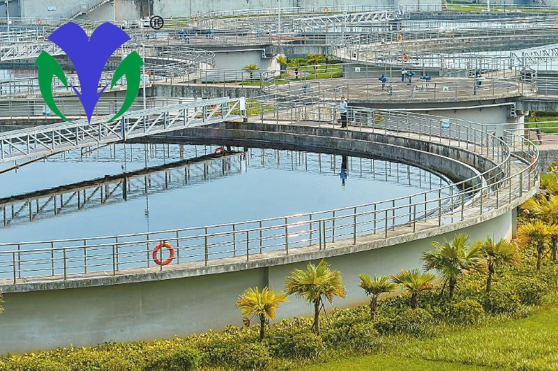 邯鄲市某污水處理廠(chǎng)
